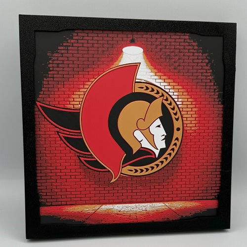 Ottawa Senators 3D Print artwork