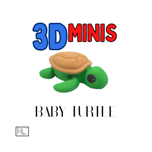 3D Mini bébé tortue